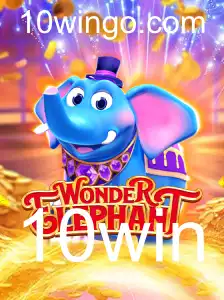 Descubra o Fascinante Mundo de WonderElephant: Regras e Estratégias do Jogo